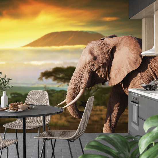 Fototapete - Elefant