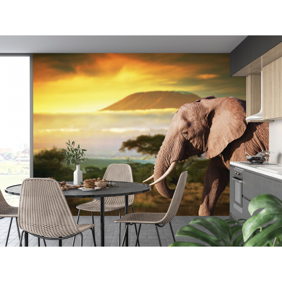 Fototapete - Elefant