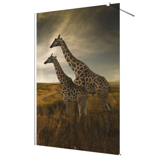 Glasdekor Dusche, Druck auf Sandstrahlfolie - Giraffen