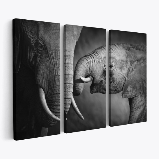 Leinwandbild 3-teilig - Elefanten