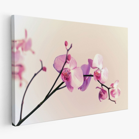 Leinwandbild - Orchideen