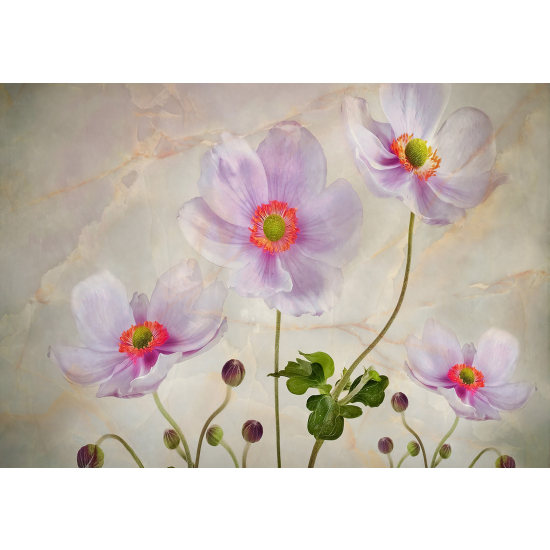 Panoramatapete - Blumen