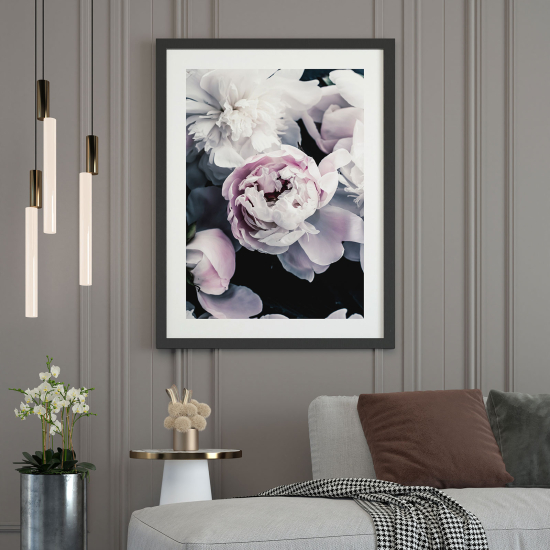 Poster - Pfingstrosen